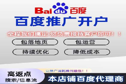 百度竞价SEM案例研究：提升转化率的关键策略